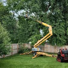 Best Landscape Design and Installation  in Mcgraw, NY