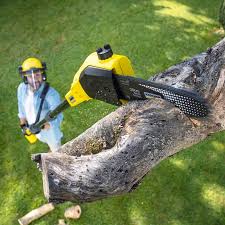 Best Soil Testing and Treatment  in Mcgraw, NY